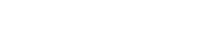 Career