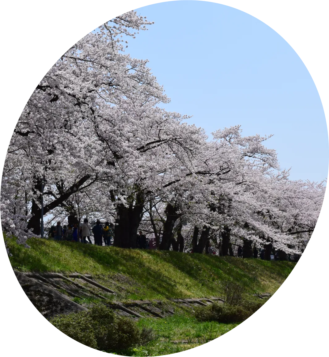 休日の過ごし方