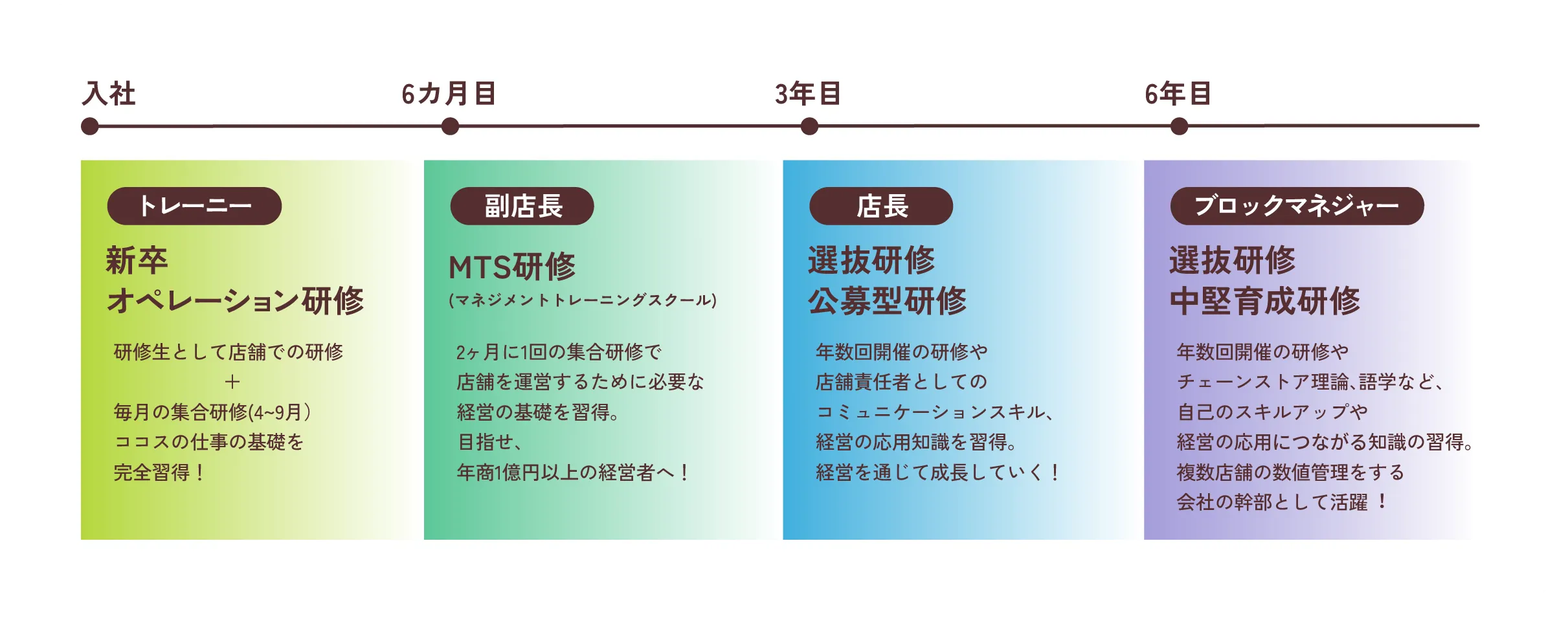 入社後のキャリア・教育研修